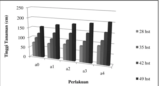 Gambar 1.  Grafik hubungan pemberian pupuk hayati terhadap rata-rata tinggi tanaman umur 28, 35,  42, dan 49 hst 