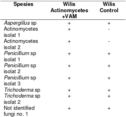 Table 4. Microorganisms found on Wilis 
