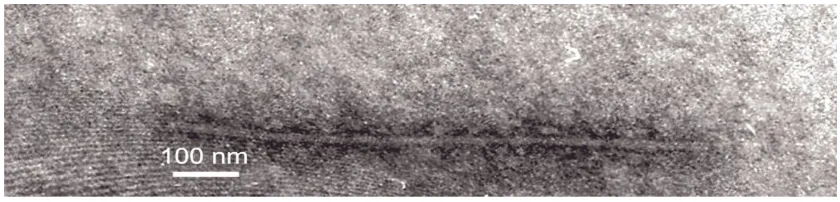 Figure 4. Particle of CMMV. The bar in the electron micrograph is 100 nm