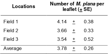 Table 2.  Density of M. plana larvae per oil palm leaflet in Bekri Unit of PTPN VII Lampung (May 2010)