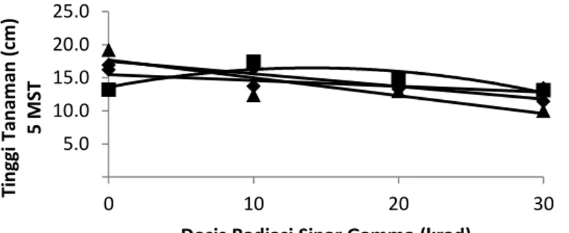 Gambar 1. Grafik hubungan antara dosis radiasi sinar gamma dengan tinggi tanaman 5 MST 