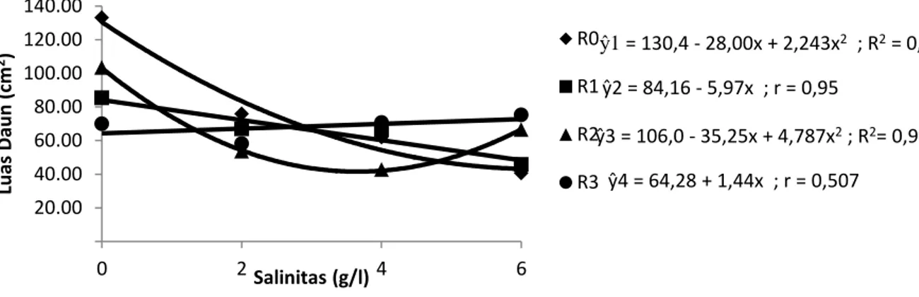 Tabel  5.  Rataan  nisbah  bobot  kering  akar-tajuk  (g)  dengan  perlakuan  radiasi  sinar  gamma  dan  salinitas 