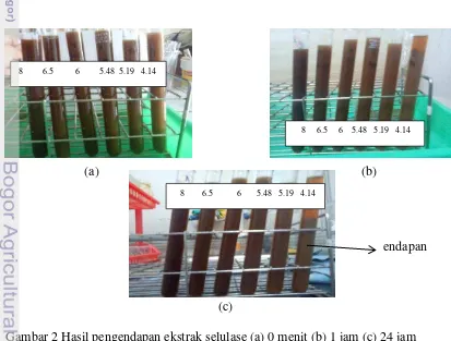 Gambar 2 Hasil pengendapan ekstrak selulase (a) 0 menit (b) 1 jam (c) 24 jam 