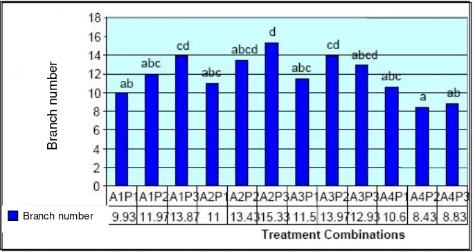 Figure 1. Histogram of branch number on several treatment combinations. 