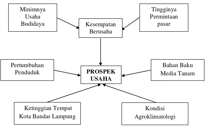 Gambar 1. Bagan Kerangka Pikir Prospek Kelayakan Usaha Budidaya Jamur        Tiram di Kota Bandar Lampung