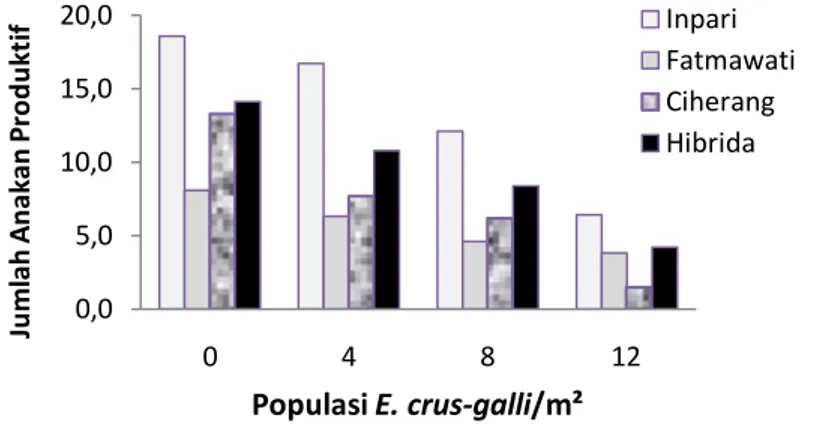 Gambar 39.  Pengaruh populasi gulma E.  crus-galli  terhadap jumlah  anakan produktif beberapa varietas tanaman padi 