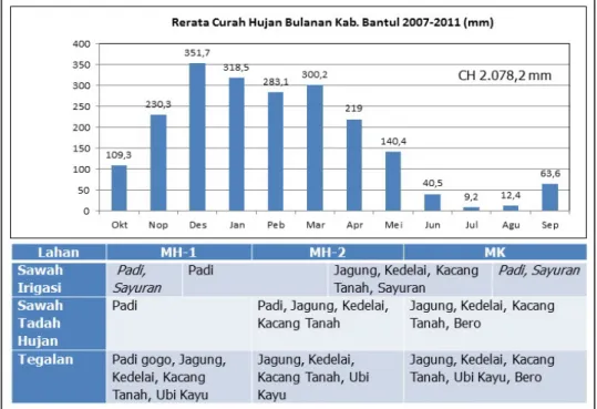 Gambar 1. Rerata curah hujan bulanan tahun 2007–2011 di Kabupaten Bantul (Kecamatan  Pundong) dan kaitannya dengan Pola Tanam sebagian besar petani