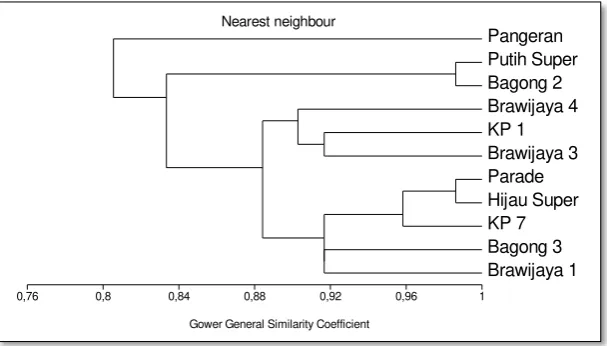 Figure 2. Dendrogram: distinctness based on qualitative characteristics 