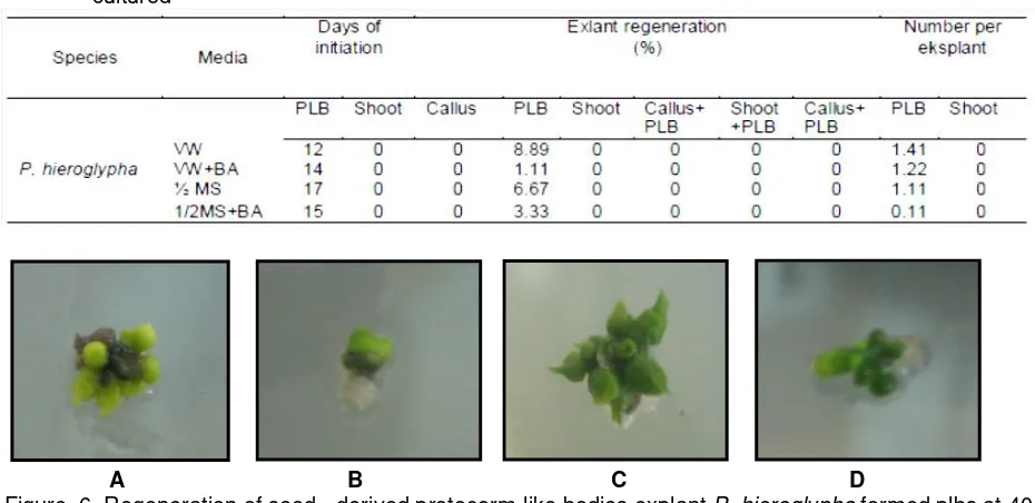 Table 7. Explant regeneration of Phalaenopsis seed - derived protocorm-like bodies  40 days after cultured  
