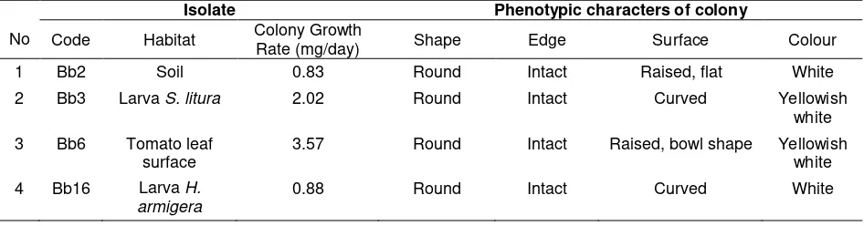 Table 1. Phenotypic Characters in Morphology of colony B. bassiana at 21 days after inoculation in Potato Dextrose Agar (PDA)  