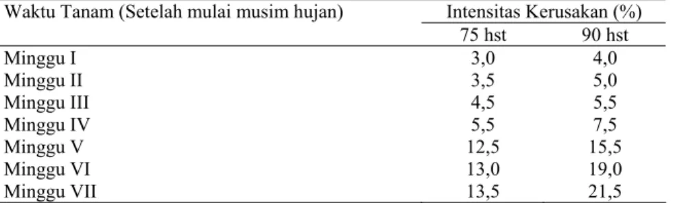Tabel 4. Intensitas kerusakan jagung Arjuna oleh Penggerek Tongkol Jagung di Desa   Bumi Asih Kab.Tanah Laut pada Musim Hujan (MH) 1995/1996 