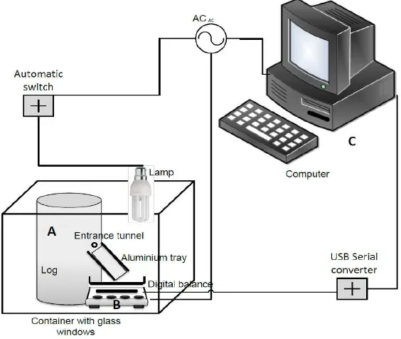 Figure 1. An automated measurement system for frass production 