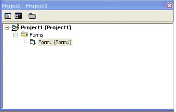 Gambar 2.3  Interface dari Project Explore 