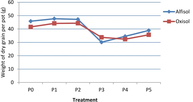 Figure 1.   Effect of P application method and soil types on weight of dry grain per pot 