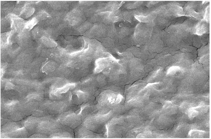 Gambar 4.2. Foto SEM kitosan 1000 mg dengan waktu penggunaaan ultrasonik bath 