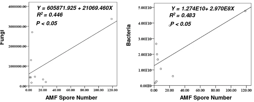 Figure. 3 Regression analysis and curves of AMF spore number with soil biological content 