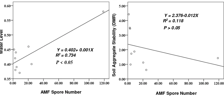 Figure 4. Regression analysis and curves of AMF spore number with soil physical content 