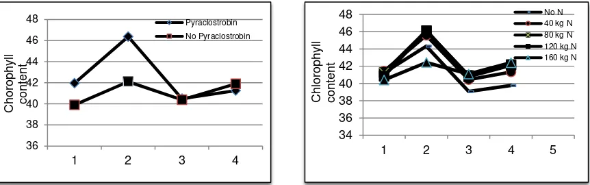 Figure 2.  Chlorophyll content after the application of pyraclostrobin (a) and nitrogen fertilizer (b)