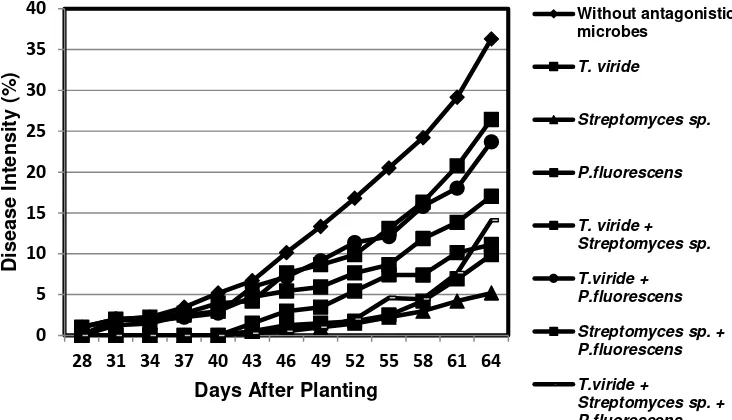 Figure 2. The disease intensity of wilt disease R. solanacearum  at certain ages of plant