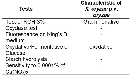 Table 2. Characteristic of X. oryzae pv. oryzae patotipe based on bacteriological test 