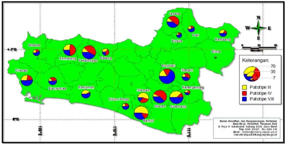 Figure 1. Distribution mapping of X. oryzae pv. oryzae pathotype in West Java and Banten Provinces 
