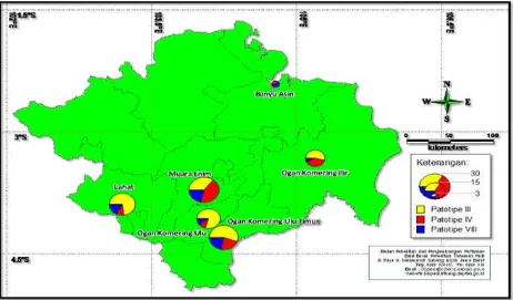 Figure 6. Distribution mapping of X. oryzae pv. oryzae pathotype in South Sumatera Provinces 