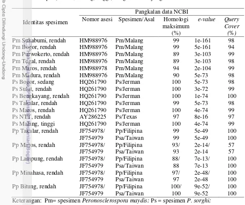 Tabel 5   Persen homologi maksimum, nilai e-value, dan query cover spesimen Peronosclerospora spp