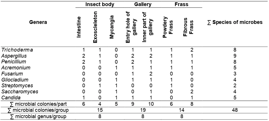 Table 4. Genera of microbial community isolated from insect body, gallery and frass 