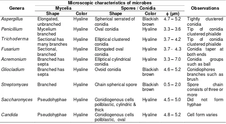 Table 6. Description of each genus of microbial isolates that associated with ambrosia beetle, E