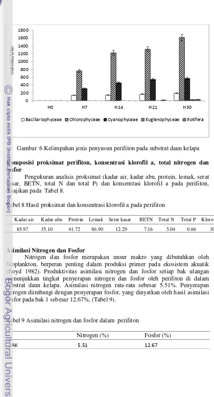 Tabel 9 Asimilasi nitrogen dan fosfor dalam  perifiton 