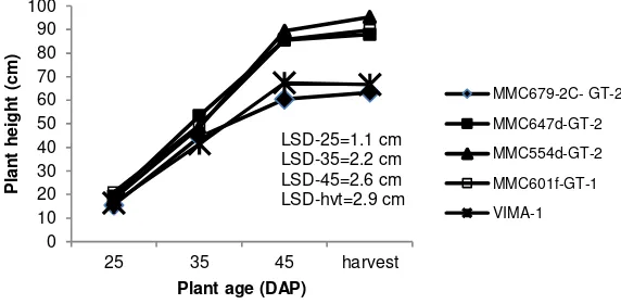 Table 3. Effect of fertilizer and plant population on plant height, chlorophyll content index, number of leaf, and leaf area of mungbean 