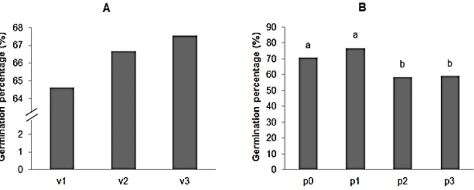 Figure 4: A. Average germination percentage (%) of three aerobic rice varieties: Inpago-8 (V1), IR64 (V2) and Situ Bagendit (V3) after priming treatment with hydro and osmo-priming and grown under stress irrigated with PEG solution (100 g L-1)