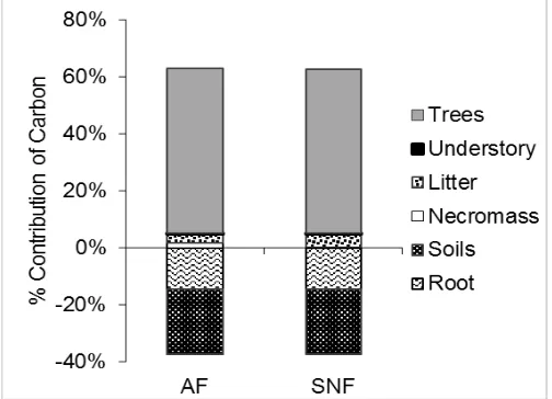 Figure 5. Percentage of contribution from each component that composes carbon stock in agroforestry 