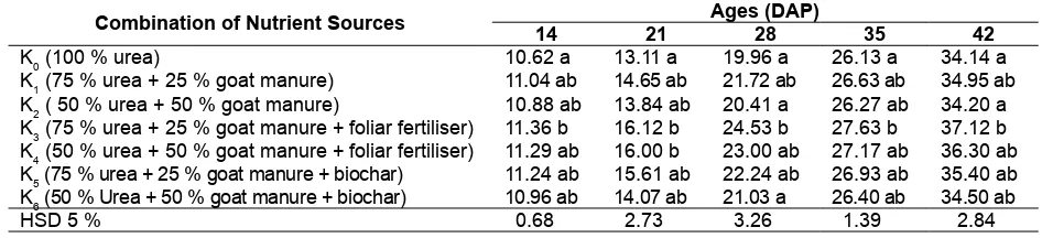 Table 2. Plant height of cabbage (cm) as a result of using various combinations of nutrient sources at 