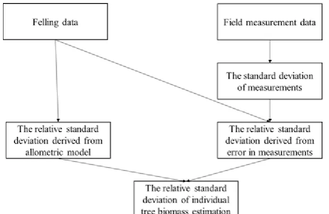 Fig. 1. Overview of the process