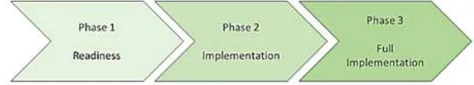 Fig. 2. The three-phase REDD+ strategy