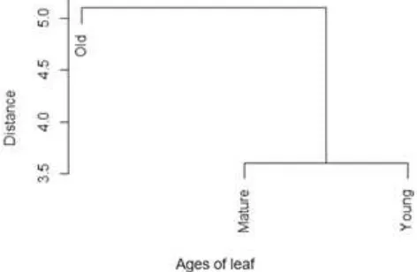 Fig. 6. Similarity analysis of three ages of leaf based on its endophytic communities