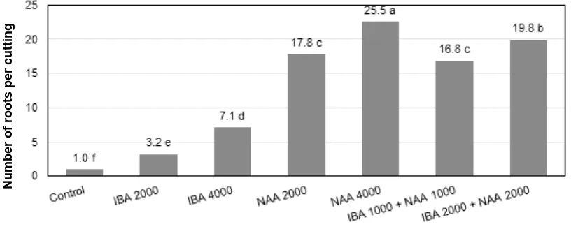 Table 1. Effects of IBA, NAA or IBA+NAA concentrations on the percentage of rooted cuttings, percentage of shoot formation, number of shoots per cuttings, length of shoots and number of leaves of malay cuttings observed at 8 weeks after planting