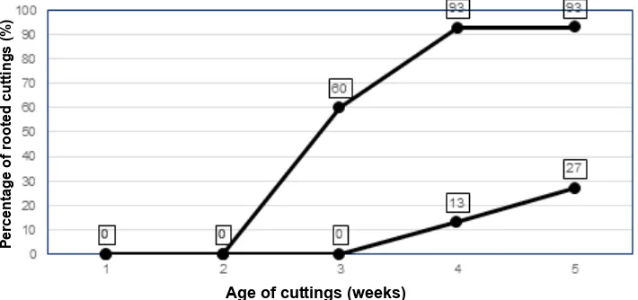 Fig. 5. Effects of a combination of IBA and NAA each at 1000 ppm on rooting percentage of malay apple semi-hardwood cuttings during five weeks after planting