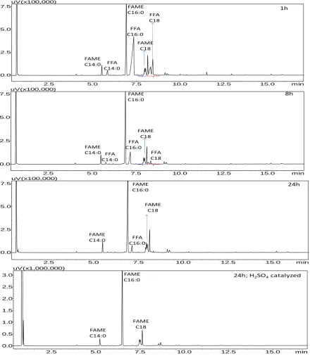 Figure 2. Chromatograms of SCW-SCM and acid catalyzed in-situ transesterification and of activated sludge 