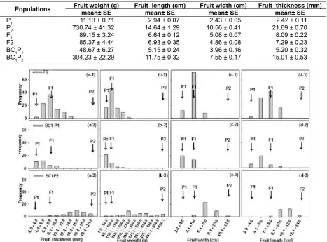 Table 1. Mean and standard error (SE) of fruit weight, fruit length, fruit width and fruit thickness of six  populations of the melon crosses (small fruit (P1) x big fruit (P2))