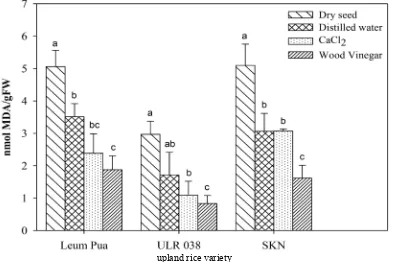 Fig. 2. Levels of malondialdehyde in primed and unprimed seeds of three rice varieties