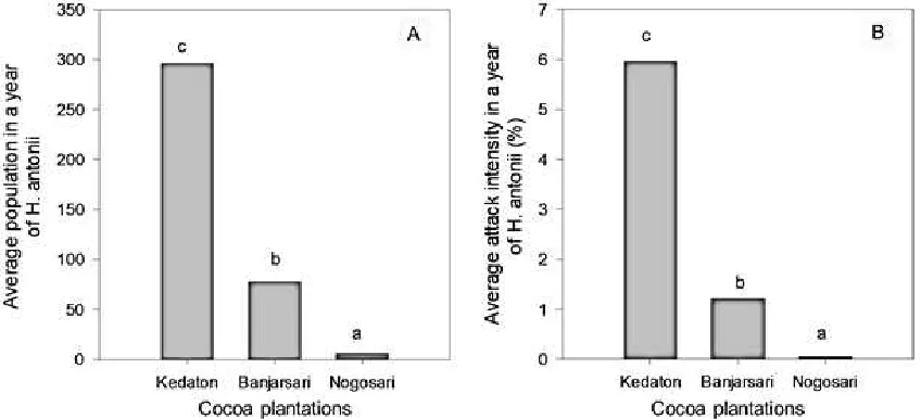 Fig. 1. Average population dynamic (A) and attack intensity (B) of cocoa Wilcoxon H. antonii in a year of three plantations (Different letters show differences between each cocoa plantation according to the test.
