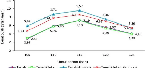 Gambar 1 Grafik Bobot Buah Total Per Tanaman Akibat Perbedaan Interval Pemberian Air 