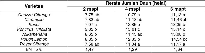 Tabel 6   Rerata Diameter Tunas pada Berbagai  Perlakuan Varietas Calon Interstock 