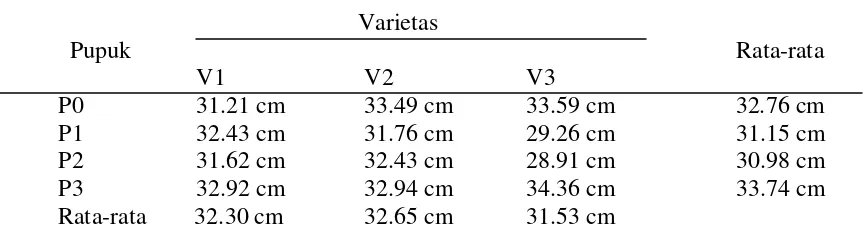 Tabel 1. Rataan Tinggi Tanaman pada umur 6 MST pada berbagai perlakuan varietas    dan pupuk majemuk NPK