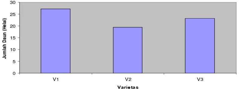 Tabel 2. Rataan Jumlah Daun pada umur 6 MST pada berbagai perlakuan varietas dan    pupuk majemuk NPK
