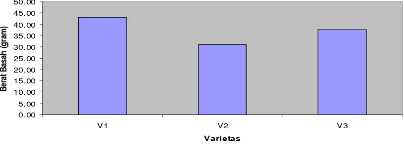 Tabel 5. Rataan Berat Basah per Taman Sampel pada berbagai perlakuan varietas    dan pupuk majemuk NPK