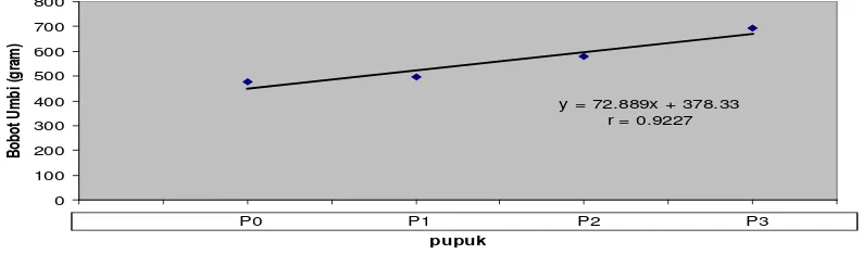 Tabel 7. Rataan Diameter Umbi pada berbagai perlakuan varietas dan pupuk majemuk   NPK