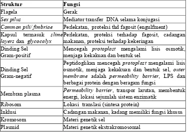 Tabel 1. Ringkasan Struktur dan Fungsi Bakteri  